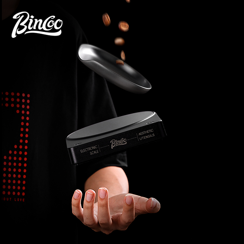 BINCOO-báscula Digital de café - Smart Home Life reseña y precio