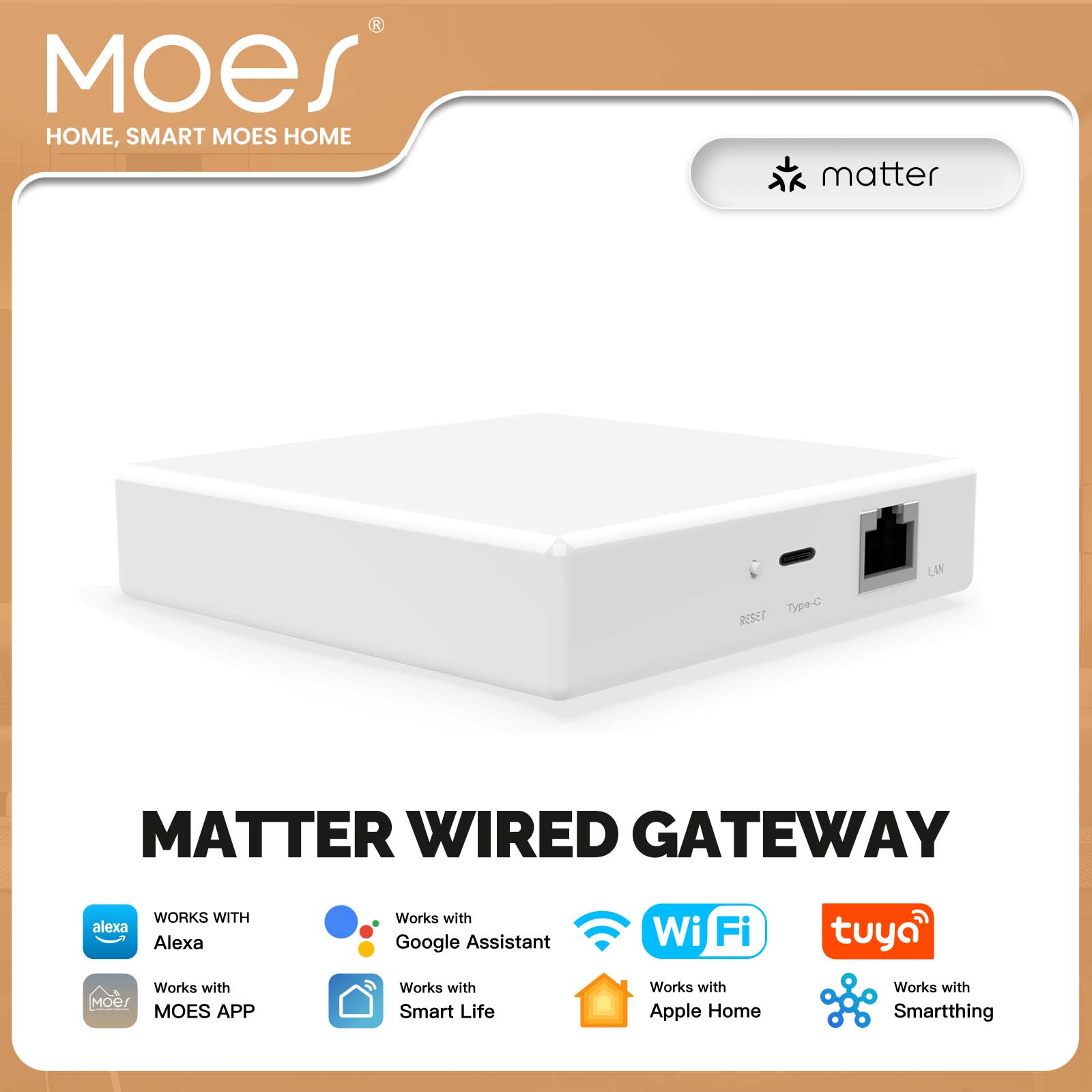 MOES Tuya ZigBee Matter Thread - Smart Home Hub Ikea reseña y precio